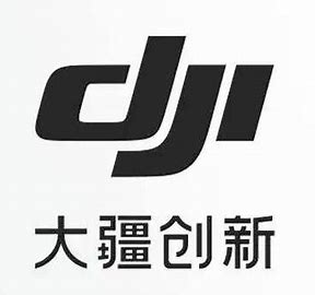 保险理赔——DJI保险流程